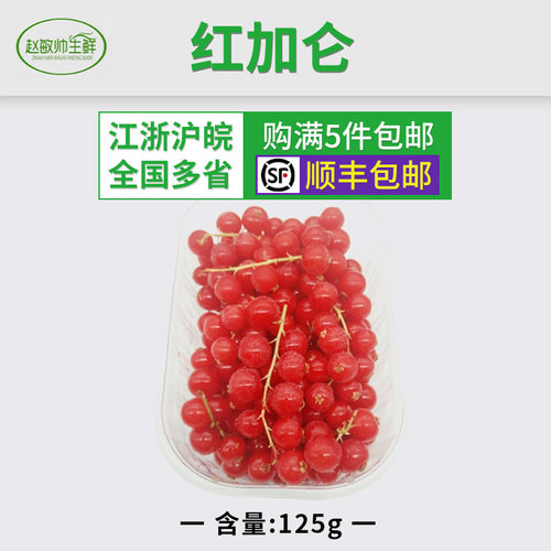 新鲜 红加仑 冷冻带茎 红加仑红醋栗 浆果125克