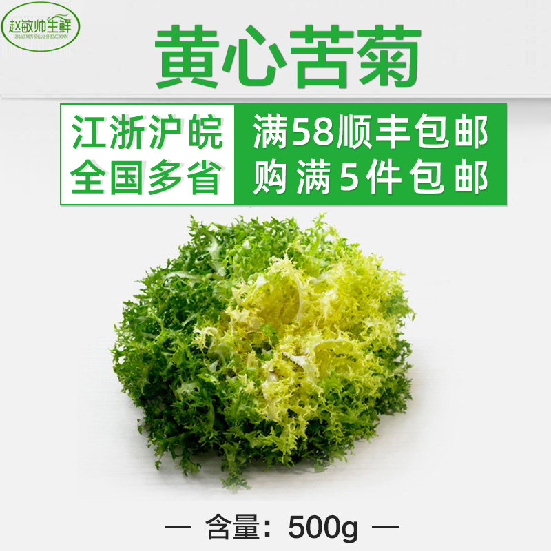 新鲜蔬菜黄心苦叶黄心苦菊 500克蔬菜沙拉赞好吃