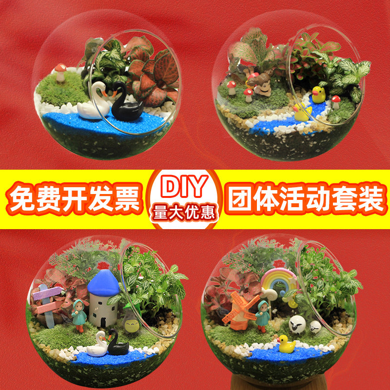 activity moss and lichen Scenery ecology Botany Glass Potted plant DIY Material Science Christmas gift suitin the Flower delivery/Flowers simulation/Plants gardening , Creative mini-plant  category - from Buy2taobao.com to provide professional Taobao agent buy service