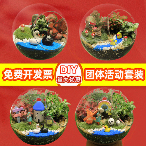 多肉植物diy质量怎么样 多肉植物diy口碑怎么样 小麦优选 多肉植物diy质量怎么样 多肉植物diy口碑怎么样 小麦优选