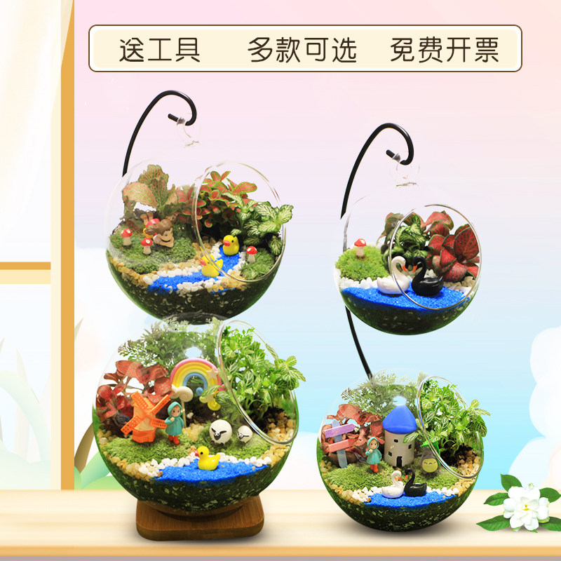 创意苔藓微景观玻璃瓶龙猫生态植苔藓微景观