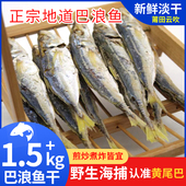 福建特产巴浪鱼干整条黄尾巴浪鱼咸鱼干即食小鱼干500g新鲜干货