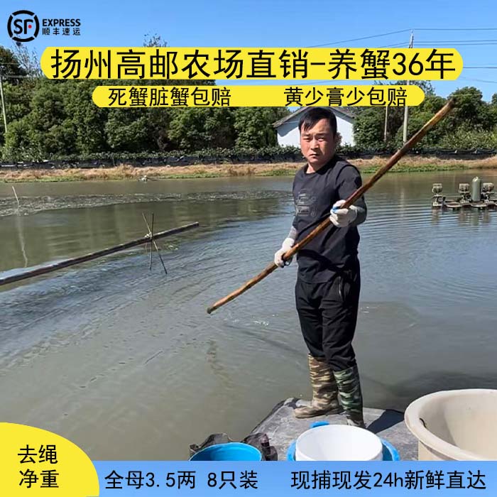 高邮湖大闸蟹自产自销物美价廉