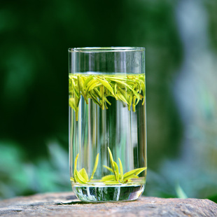 2025年新茶特级靖安白茶江西茶叶正宗靖安县特产珍稀绿茶春茶礼盒