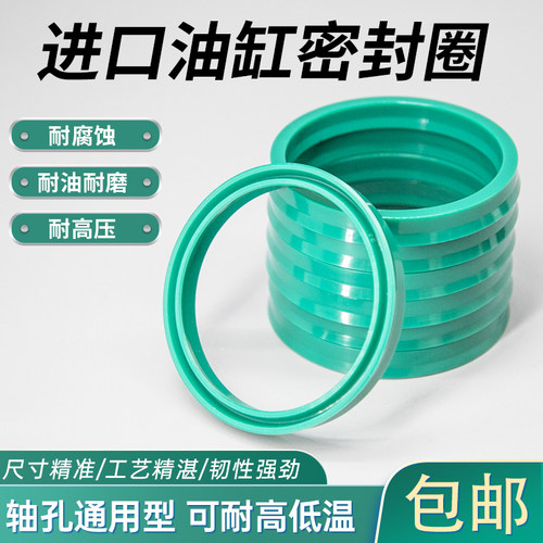 德国进口油封耐高温密封圈