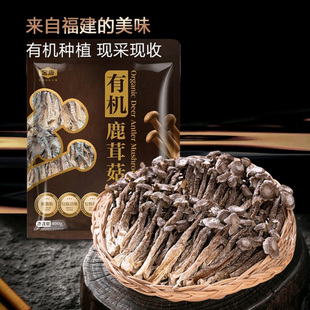 山姆超市代购 金唐有机鹿茸菇400g煲汤炒干货养生蘑菇香菇菌菇