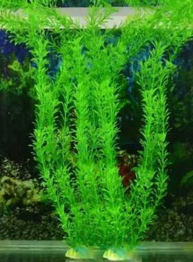 30cm鱼缸装饰仿真水草香草水族箱造景塑料假花草布景植物装饰品