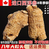 加拿大西洋参进口西洋参特级粒头特大短支粒500g正品 切片磨粉送礼