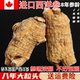 加拿大西洋参进口西洋参特级粒头特大短支粒500g正品 切片磨粉送礼