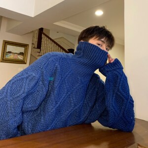 冬季加厚韩版针织衫宽松套头菱格高领毛衣男女T819图片