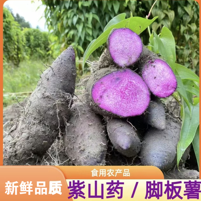 新鲜现挖脚板薯紫大薯香糯型新鲜紫山药紫淮山淮山紫大薯江西特产