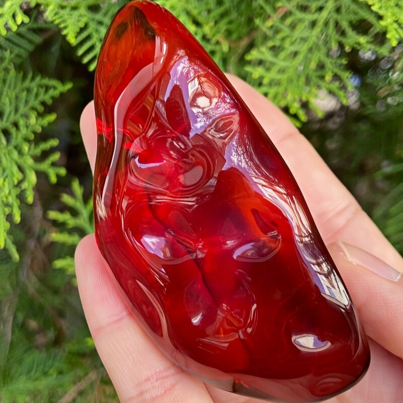 正品天然缅甸琥珀玻璃底樱桃红血珀随形原石文玩稀有收藏珠宝饰品