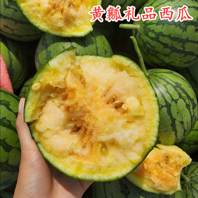 黄瓤礼品西瓜种子绿皮黄肉薄皮小西瓜种籽香瓜四季西瓜高产包邮