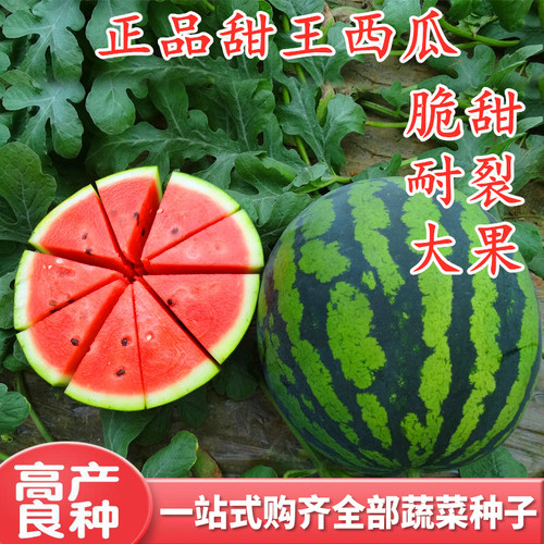 甜王西瓜种子特大懒汉西瓜种籽脆甜耐裂麒麟瓜高产四季水果包邮 - 封面