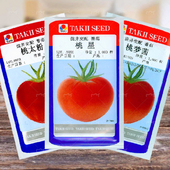桃梦茜桃星桃太粉西红柿种籽大果番茄种子口感沙瓤大果四季 蔬菜籽
