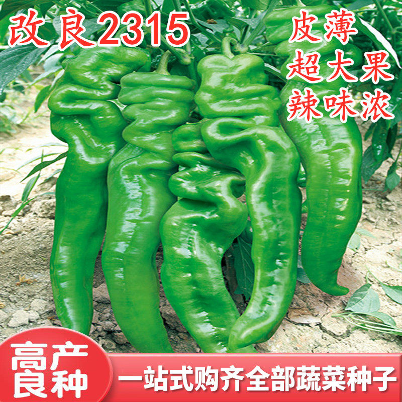螺丝椒种子辣椒苗辣椒种籽种苗尖椒皮薄香辣大果四季蔬菜改良2315,农用物资,蔬菜种子/种苗,淘宝优惠券,粉丝福利购,淘宝优惠卷