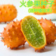 火参果种子非洲蜜瓜种籽刺角瓜火星果籽海参果特色蔬菜水果 包邮