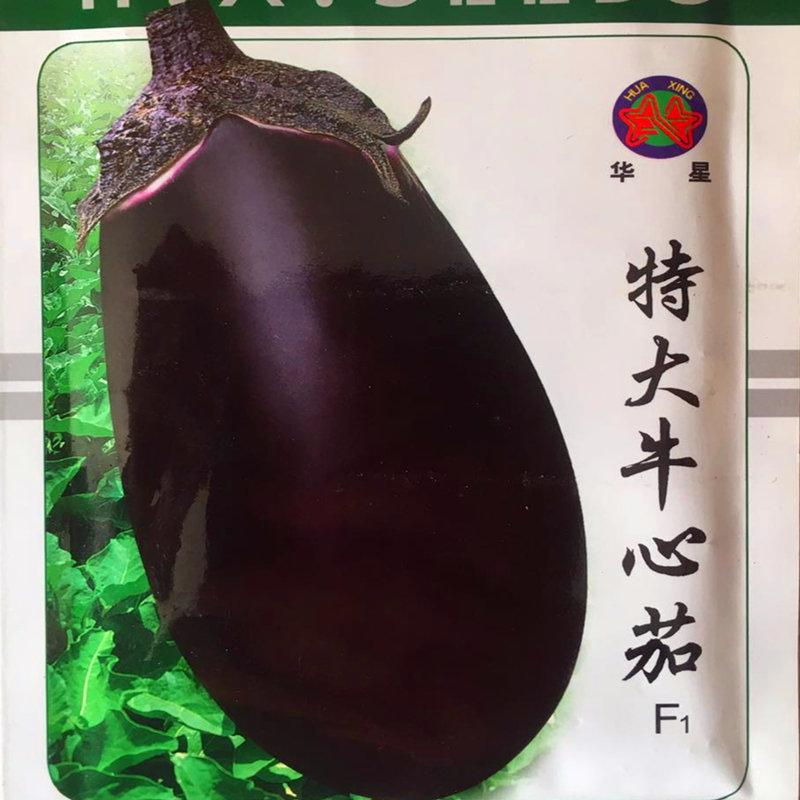 特大牛心茄种子罐茄种籽紫把紫黑色茄子高产四季蔬菜庭院阳台包邮