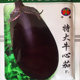 包邮 特大牛心茄种子罐茄种籽紫把紫黑色茄子高产四季 蔬菜庭院阳台