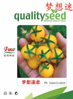 黄色樱桃番茄种子籽四季播阳台盆栽水果西红柿种菜苗秧苗梦想迷恋