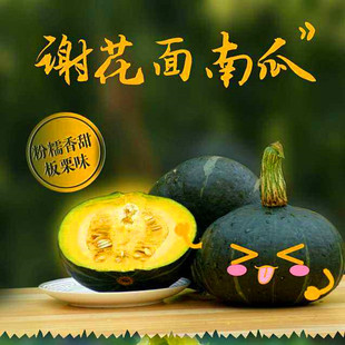 谢花面落花面南瓜种子东北倭瓜窝瓜种籽粉面甜四季蔬菜庭院高产