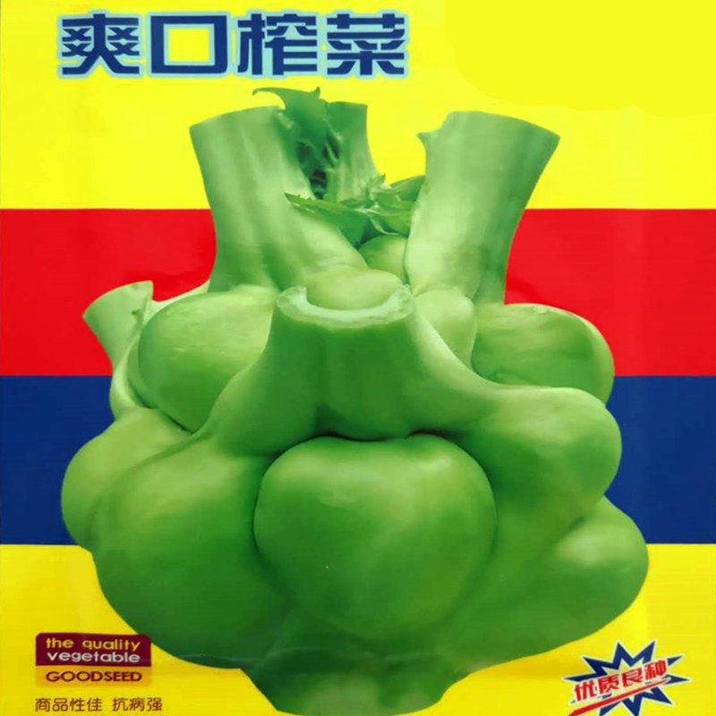 榨菜种子特大光头菜咸菜芥菜种四季蔬菜种籽芥菜种四季蔬菜抗病,农用物资,蔬菜种子/种苗,淘宝优惠券,粉丝福利购,淘宝优惠卷