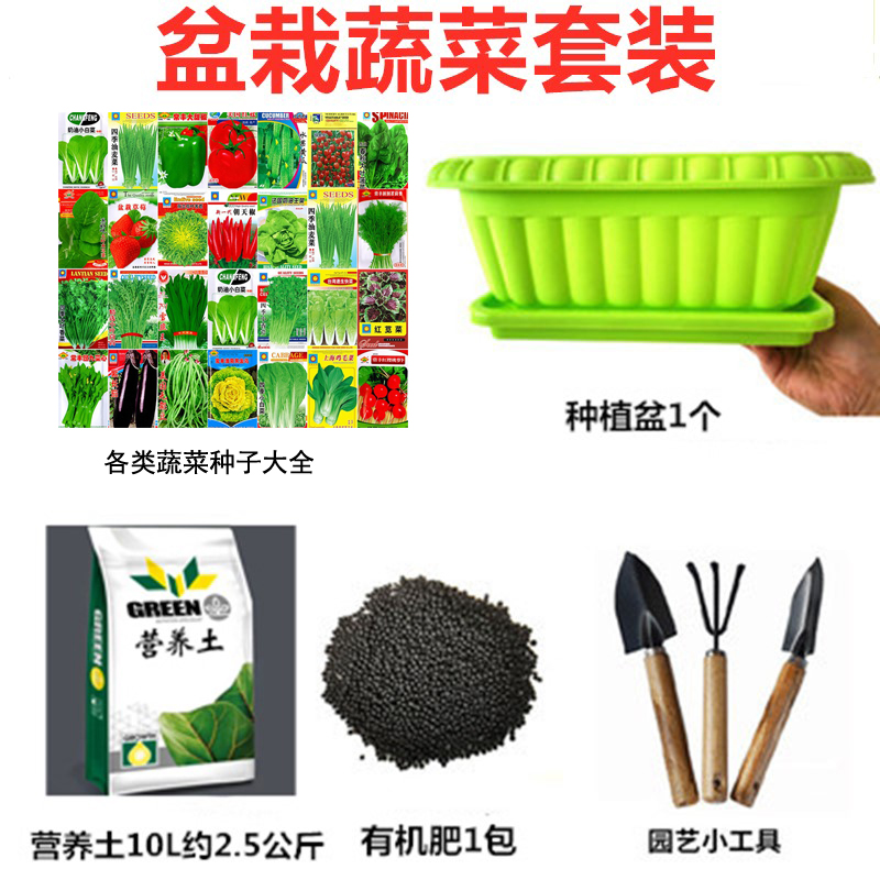 套装家庭土培口感好包邮蔬菜种子