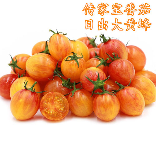 传家宝四季日出大黄蜂番茄种子