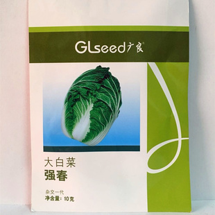 强春白菜种子先正达白菜种子反季节大白菜种子蔬菜高端大白菜种子