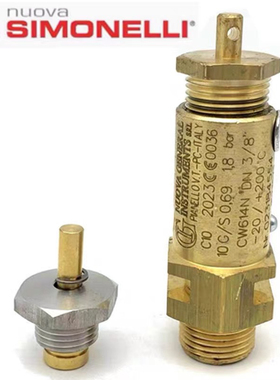 Nuova appia life咖啡机锅炉压力阀诺瓦咖啡机真空阀安全阀高压阀