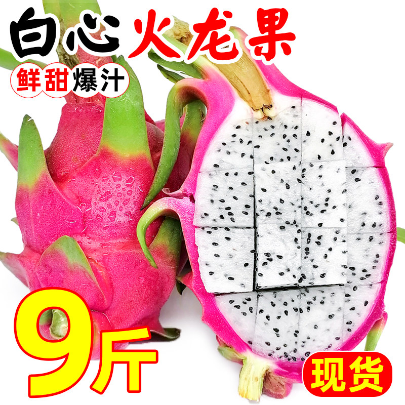 白心火龙果新鲜9斤当季越南进口热带水果白肉火龙果整箱包邮批发5