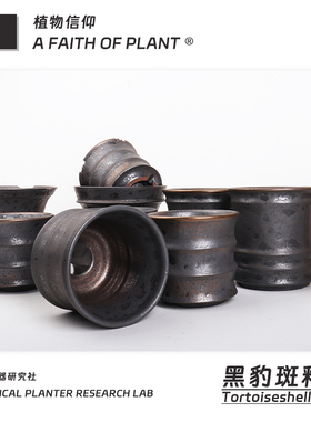 潮流块根植物龙舌兰龟甲龙块根SRL花盆陶瓷NEIGHBORHOOD野村豪人