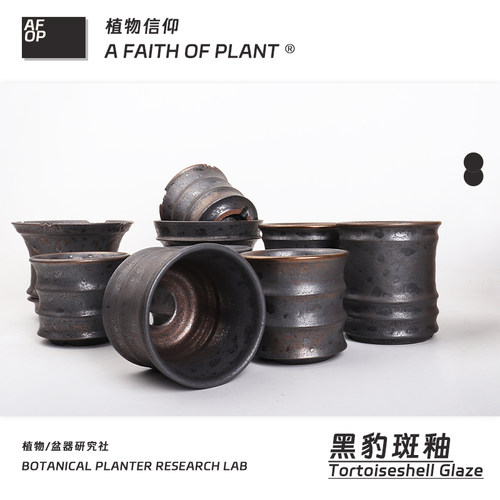 潮流块根植物龙舌兰龟甲龙块根SRL花盆陶瓷NEIGHBORHOOD野村豪人