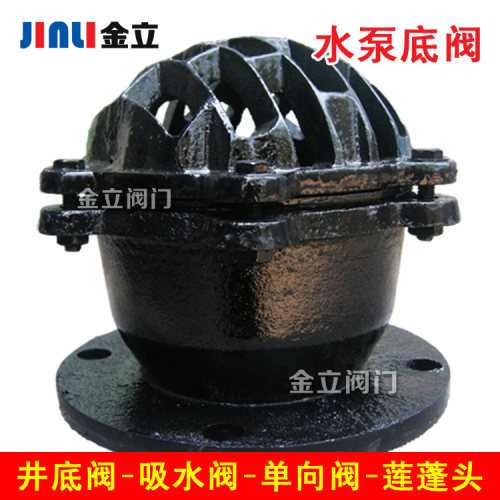 水泵底阀止回阀法兰吸水阀莲蓬头