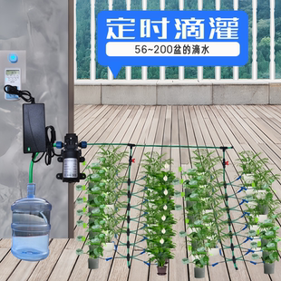 自动浇水器浇花神器滴水全电动喷淋系统定时灌溉微喷草莓滴灌系统