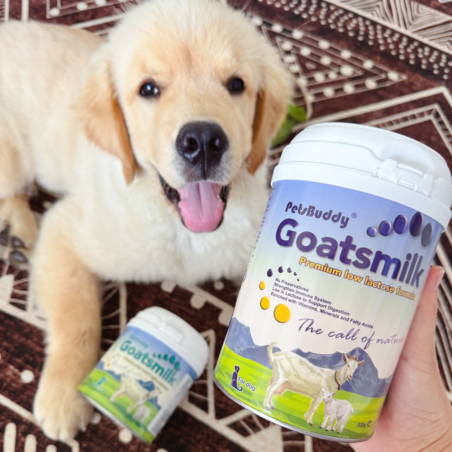 petsbuddy澳洲低乳糖羊奶粉