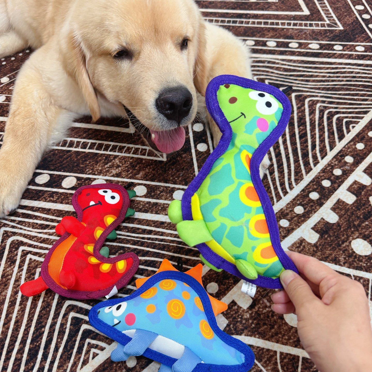 牛津布耐咬小恐龙战队磨牙玩具