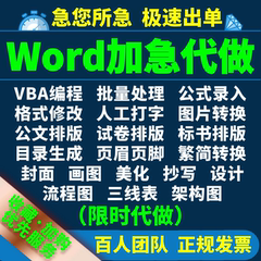 Word排版美化VBA代做表格制作格式pdf转换修改编辑图片打文字录入