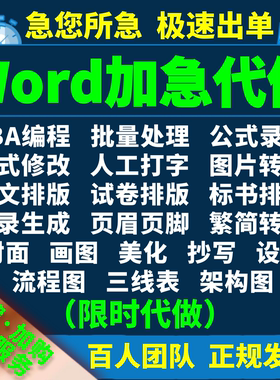 Word排版美化VBA代做表格制作格式pdf转换修改编辑图片打文字录入