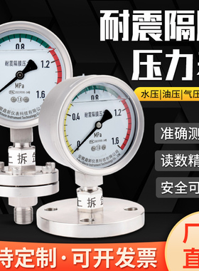 YTP-100ML MF不锈钢耐震隔膜压力表 法兰压力表 DN25 DN50 1.6mpa