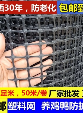 塑料网围栏网养殖护栏网养鸡网防护网鸡鸭养殖网隔离网圈玉米网格