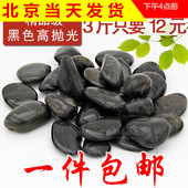 纯黑色大小号高深抛光纯天然鹅卵石头雨花石鹅软鱼缸配饰铺面 包邮