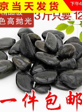 纯黑色大小号高深抛光纯天然鹅卵石头雨花石鹅软鱼缸配饰铺面包邮