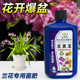 兰灵王兰花专用肥营养液肥料促花多箭兰菌药蝴蝶兰科兰陵王活化剂