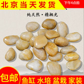精品天然雨花石抛光黄鹅卵石小石子鱼缸花盆石装 饰盆栽园艺石头