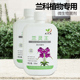 兰花专用营养液君子兰蝴蝶兰石斛兰兰科微生物菌肥花卉盆栽专用肥