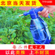 包邮 手动园艺家用透明气压式 喷水壶喷雾器浇花洒水壶浇水小喷药壶