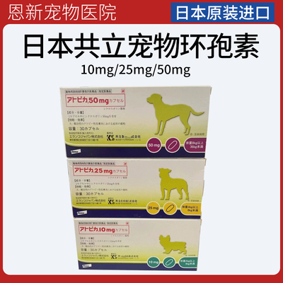 日本共立环孢素胶囊狗慢性特应性过脊髓调节免疫阿托皮卡减缓瘙痒