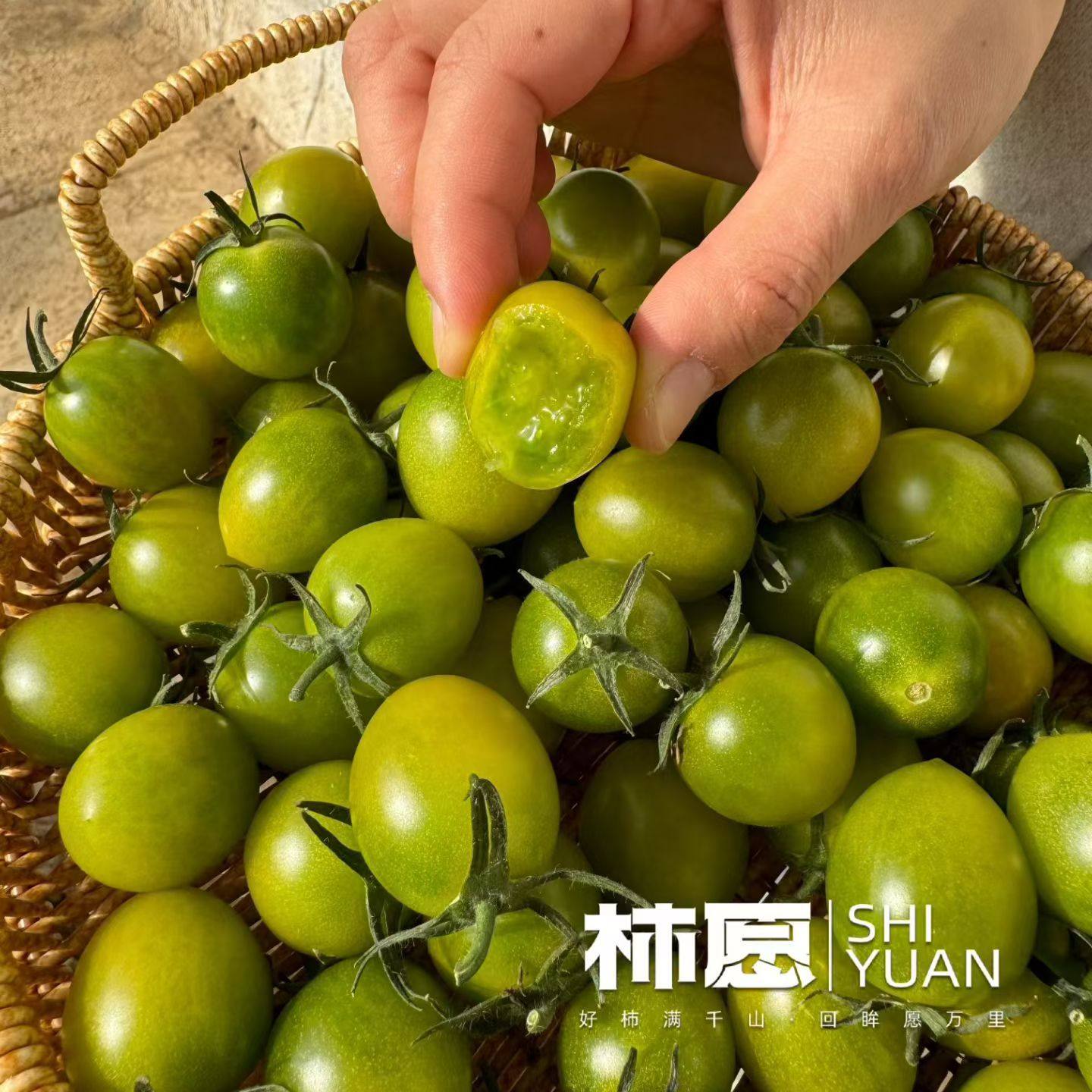 柿小愿陕西省泾阳县柿愿西红柿绿色樱桃小番茄新鲜自然熟3斤 包邮,水产肉类/新鲜蔬果/熟食,番茄,淘宝优惠券,粉丝福利购,淘宝优惠卷