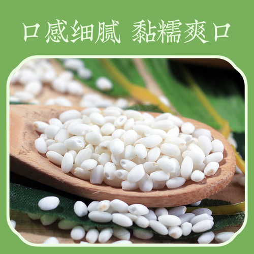 东北糯米圆粒糯米农家糯大米